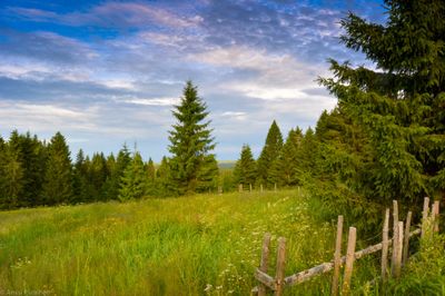 Countryside