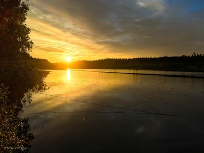 Setting