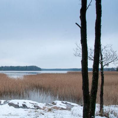 Yesterday's Snow