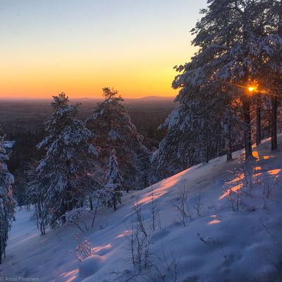 Winterly Wonders