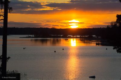 Another Golden Sunset