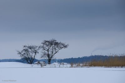 Snowcapped