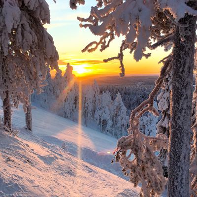 Skier's Paradise