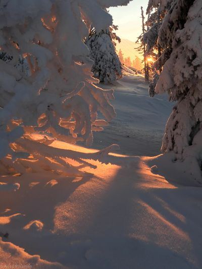 Soft as Snow