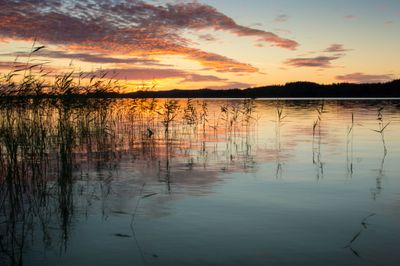 Lake Lighted