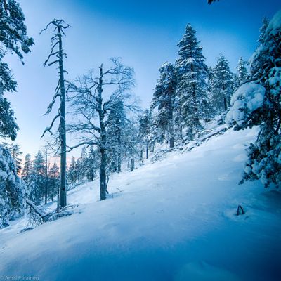 Blue Snow