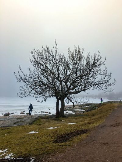 Uunisaaret